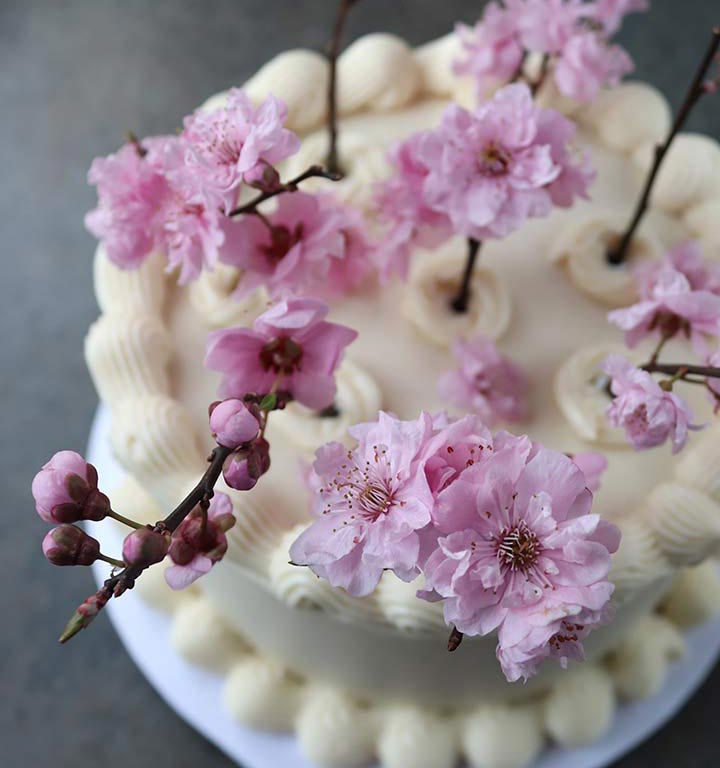 Gluten free celebration cakes – all shapes and flavours. This one is a vegan carrotcake, filled & frosted with vegan vanilla cream cheese buttercream, and decorated with cherry blossom. All ingredients gluten-free, dairy-free & egg-free. Celebration cakes made with butter and eggs also available