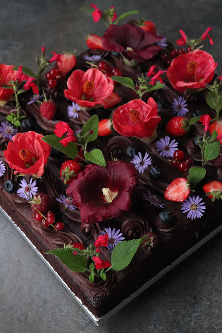 Glutenfree, dairyfree October birthday cake: a chocolate & olive oil cake. All organic ingredients. With piped choc fudge buttercream, berries and edible flowers from the garden